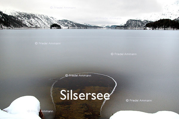 SCHWEIZ - Alpen - Silsersee, Engadin
