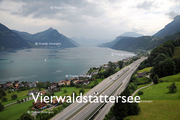 SCHWEIZ - Alpen - Beckenried, Vierwaldstättersee 