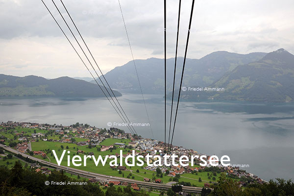 SCHWEIZ - Alpen - Beckenried, Vierwaldstättersee