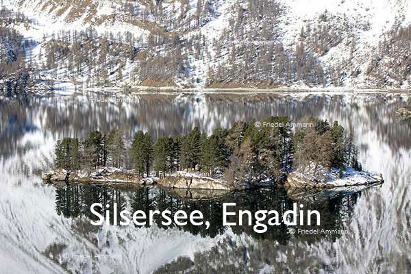 SCHWEIZ - Alpen - Silsersee, Engadin
