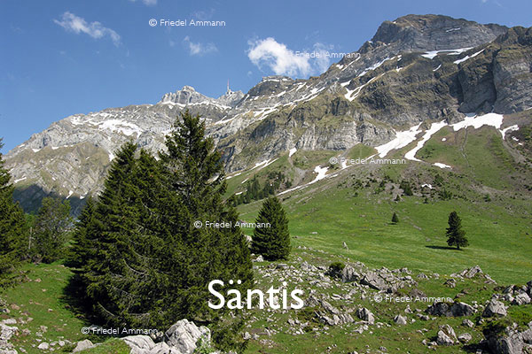 SCHWEIZ - Alpen - Säntis
