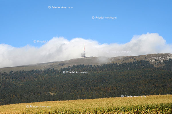 SCHWEIZ - Jura - Chasseral