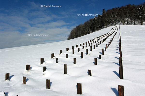 SCHWEIZ - Jura - Passwang