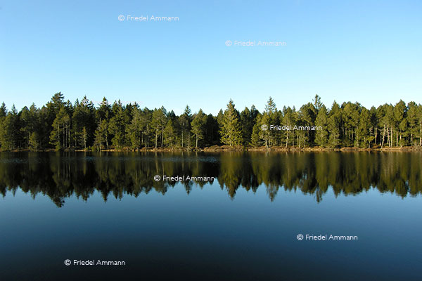 SCHWEIZ - Jura - Etang de la Gruère