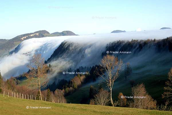 SCHWEIZ - Jura - Wetterscheide am Scheltenpass