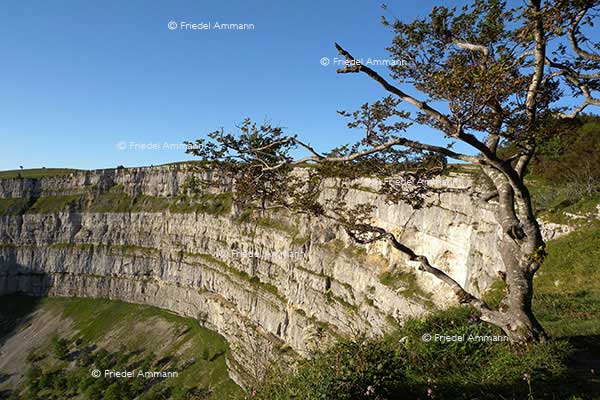 SCHWEIZ - Jura - Creux du Van