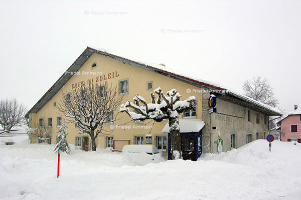 SCHWEIZ - Jura - Saignelégier