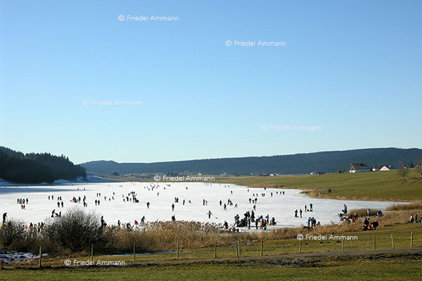 SCHWEIZ - Jura - Lac des Taillères