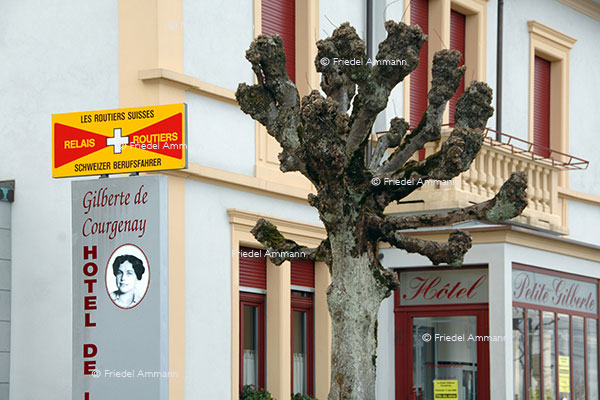 SCHWEIZ - Jura - Courgenay