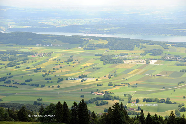 SCHWEIZ - Jura - Blick vom Chasseral 