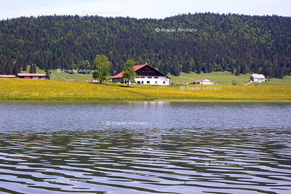 SCHWEIZ - Jura - Lac des Taillères
