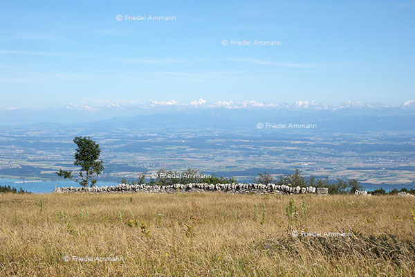 SCHWEIZ - Jura - Blick vom Creux du Van in die Alpen