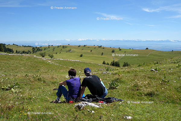 SCHWEIZ - Jura - Blick vom Creux du Van in die Alpen