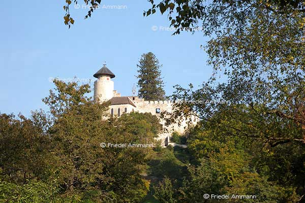 SCHWEIZ - Baselland - Arlesheim - Schloss Birseck
