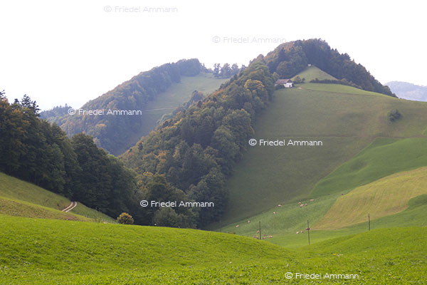SCHWEIZ - Baselland - Passwanggebiet
