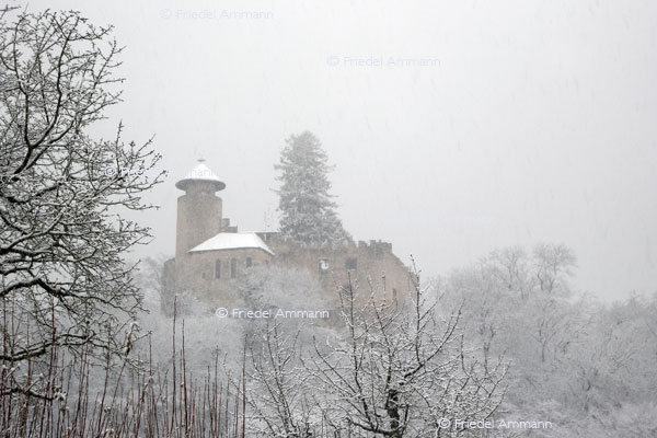 SCHWEIZ - Baselland - Arlesheim - Schloss Birseck