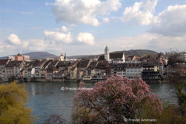 SCHWEIZ - Aargau - Rheinfelden