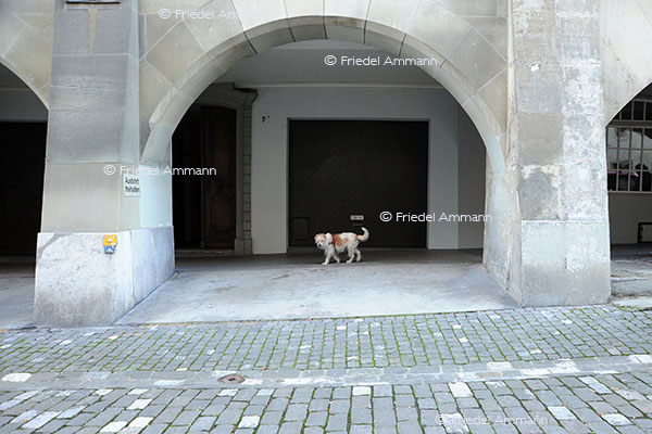SCHWEIZ - Bern 