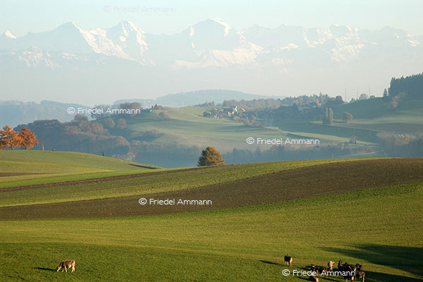 SCHWEIZ - Bern - Eiger, Mönch, Jungfrau