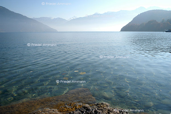 SCHWEIZ - Bern - Thunersee