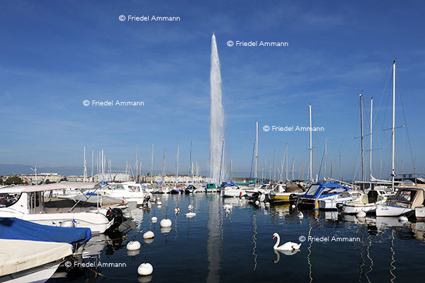 SCHWEIZ – Genf / Genève - Jet d'Eau de Genève
