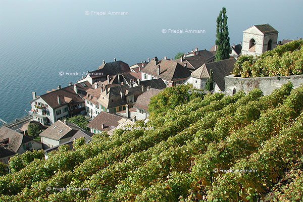 SCHWEIZ - Romandie