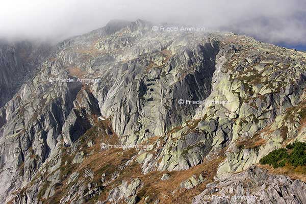 SCHWEIZ - Innerschweiz - Gotthard