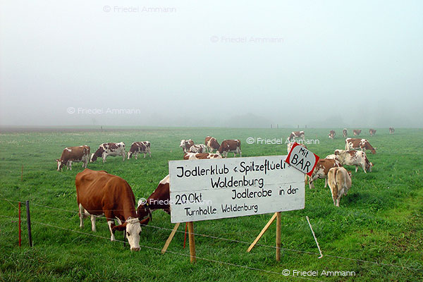SCHWEIZ - Kultur, Folklore - Jodlerabend