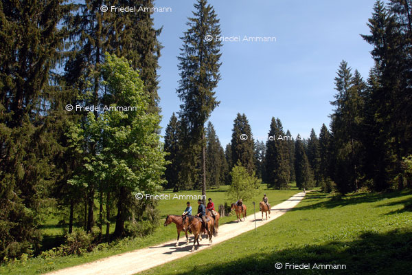 SCHWEIZ – Tourismus - Jura