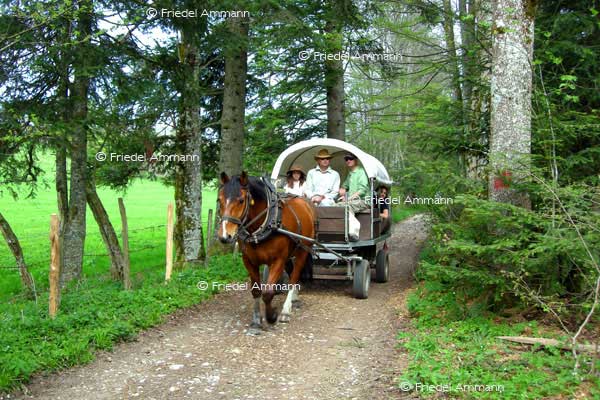 SCHWEIZ – Tourismus - Jura