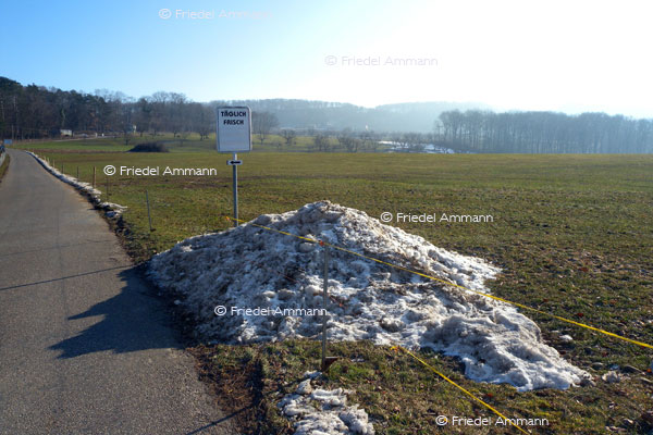 SCHWEIZ – Tourismus - Schneesicher
