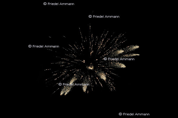 SCHWEIZ -Gesellschaftliche Ereignisse - 1. August Nationalfeier