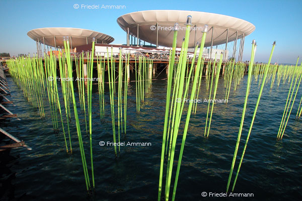 SCHWEIZ -Gesellschaftliche Ereignisse - expo 2002