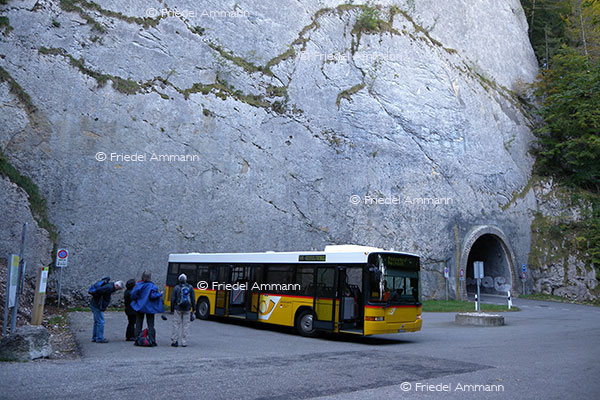 SCHWEIZ - Service Public - Postauto, Haltestelle Passwang