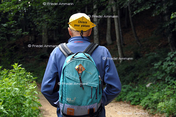 SCHWEIZ - Wandern 