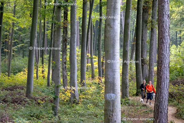 SCHWEIZ - Wandern - Jura