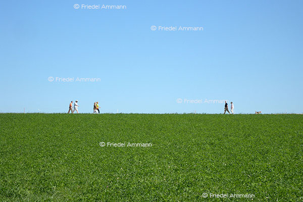 SCHWEIZ - Wandern - Mittelland