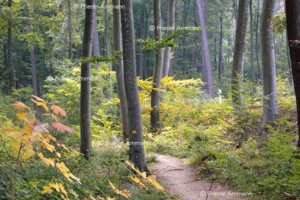 SCHWEIZ - Wandern - Jura