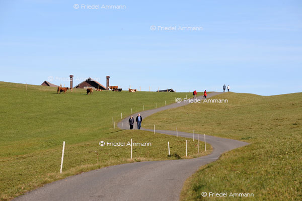SCHWEIZ - Wandern - Scheltenpass