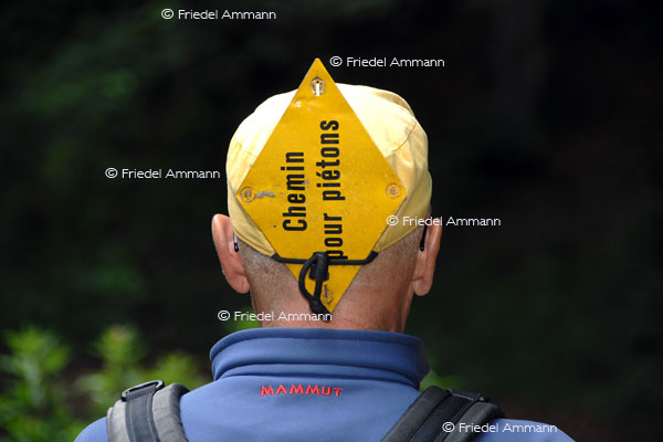 SCHWEIZ - Wandern