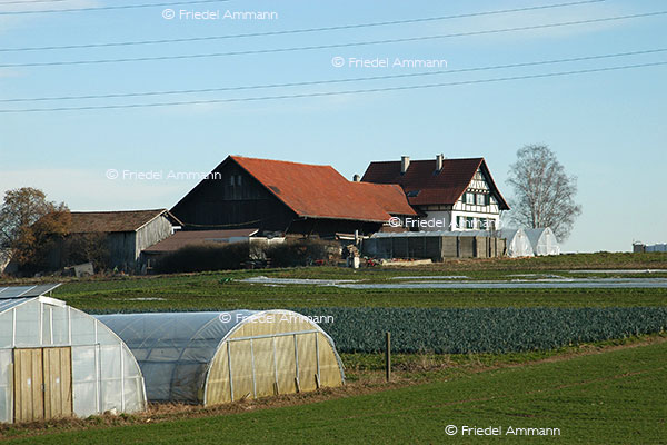 SCHWEIZ - Landwirtschaft 