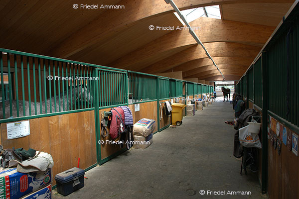 SCHWEIZ - Landwirtschaft - Reitstall