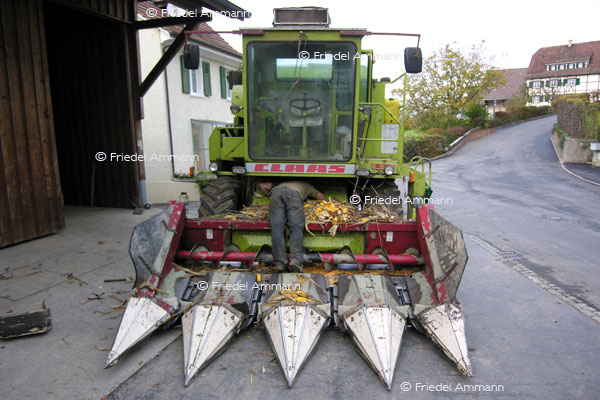 SCHWEIZ - Landwirtschaft