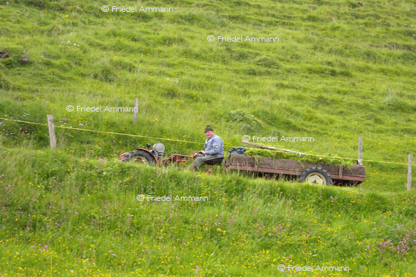SCHWEIZ - Landwirtschaft - Bergbauer