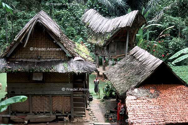 WORLD – Impressions - Sulawesi, Indonesien
