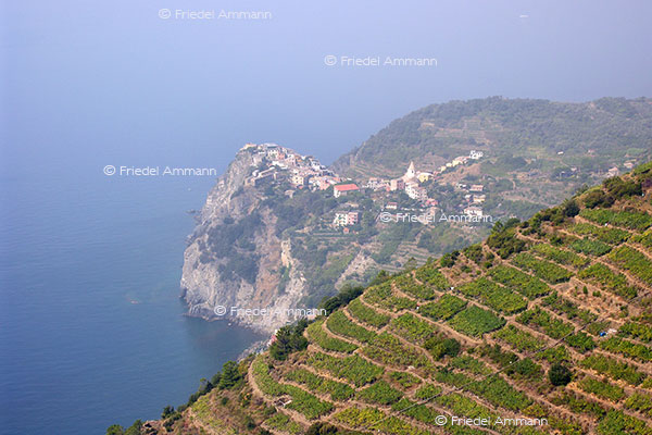 WORLD – Impressions - Cinque Terre, Italia