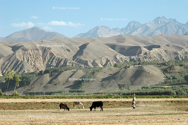 WORLD - Afghanistan - Bamiyan