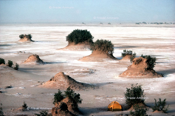 WORLD - Algerien - In Salah - Grand Erg Oriental