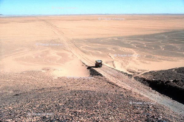 WORLD - Algerien - Wadi