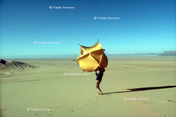 WORLD - Algerien 